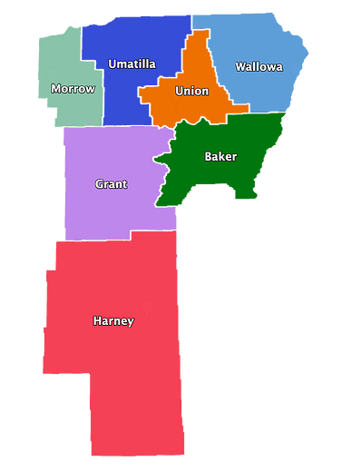 Counties in GO STEM Region