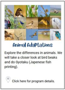 animal adaptations