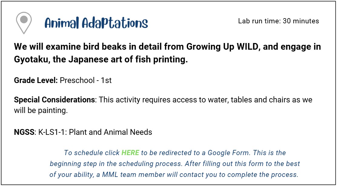 Animal Adaptations
