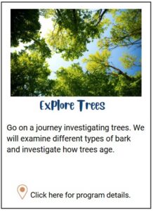 Explore trees