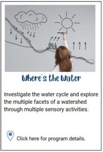 Where's the Water