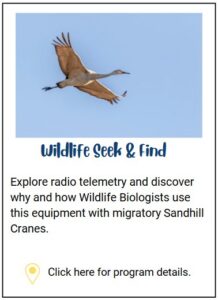 Wildlife Seek and Find (Sandhill Crane Migration)